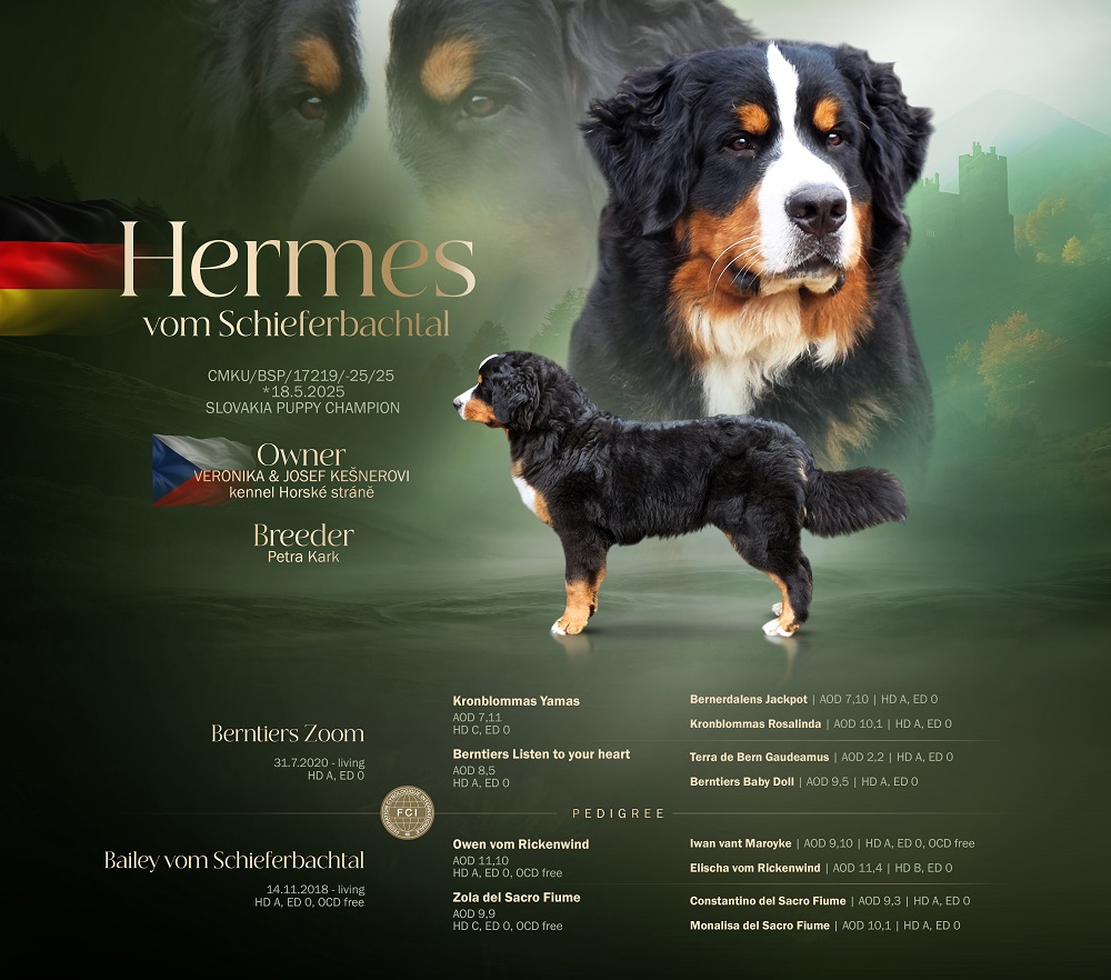 hermnweb