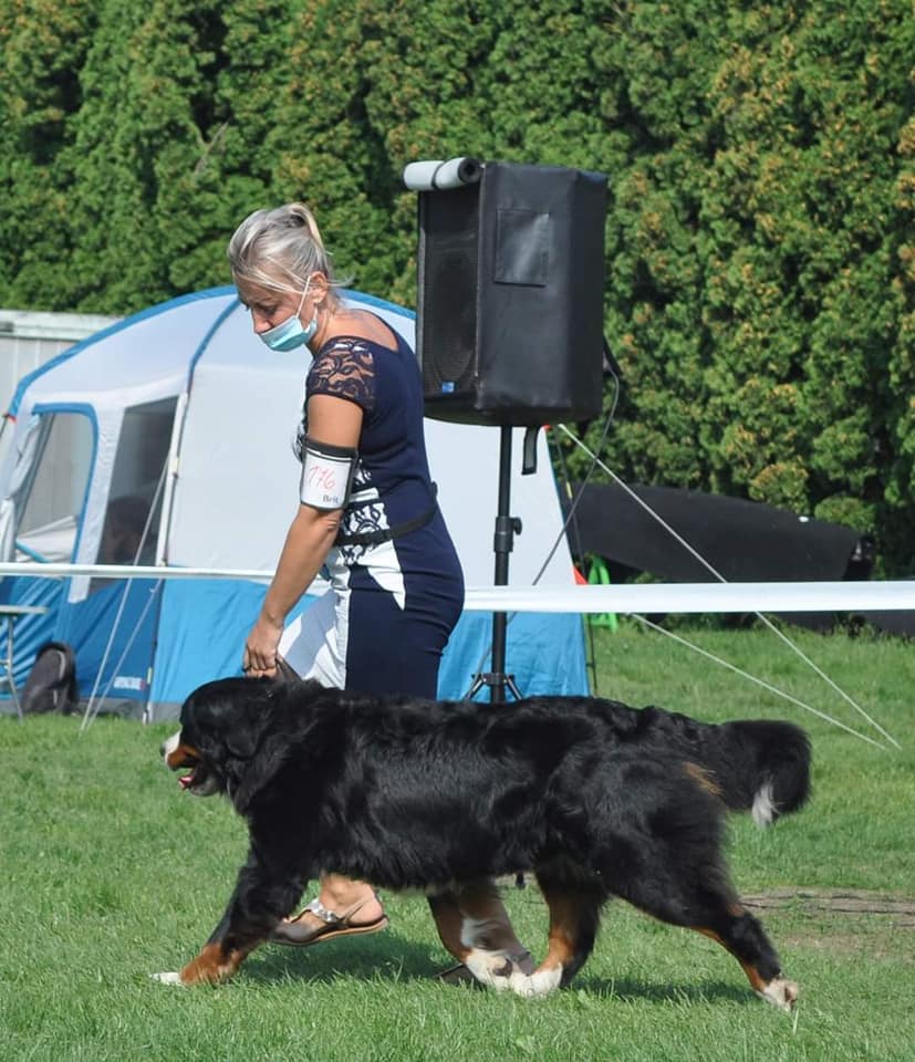 vstava2020J