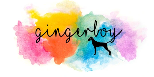 logo gingerboy final copy