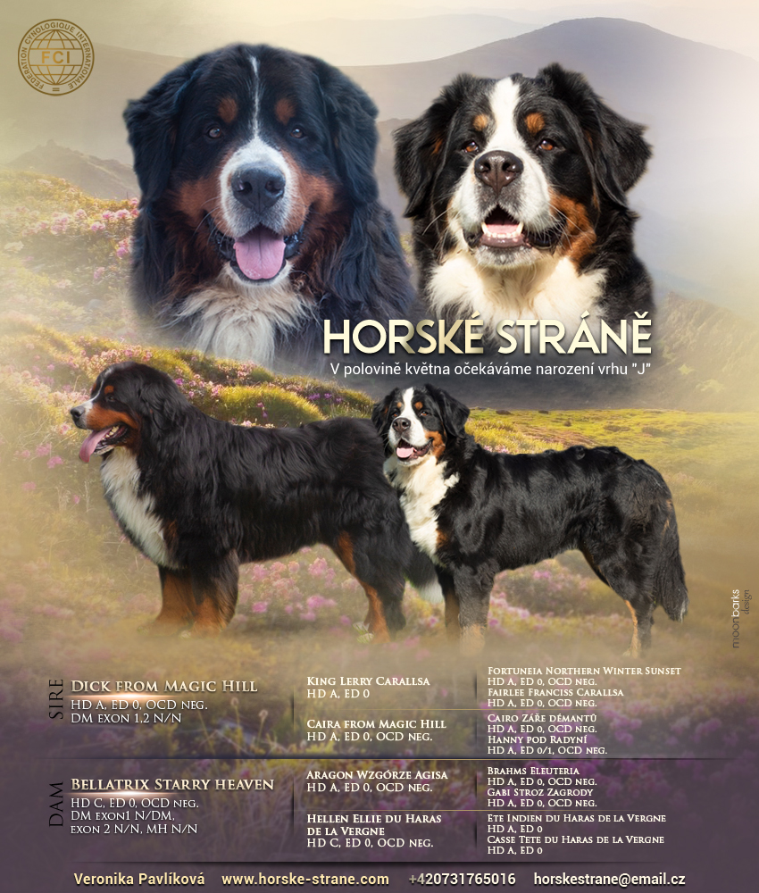horske strane2022 2